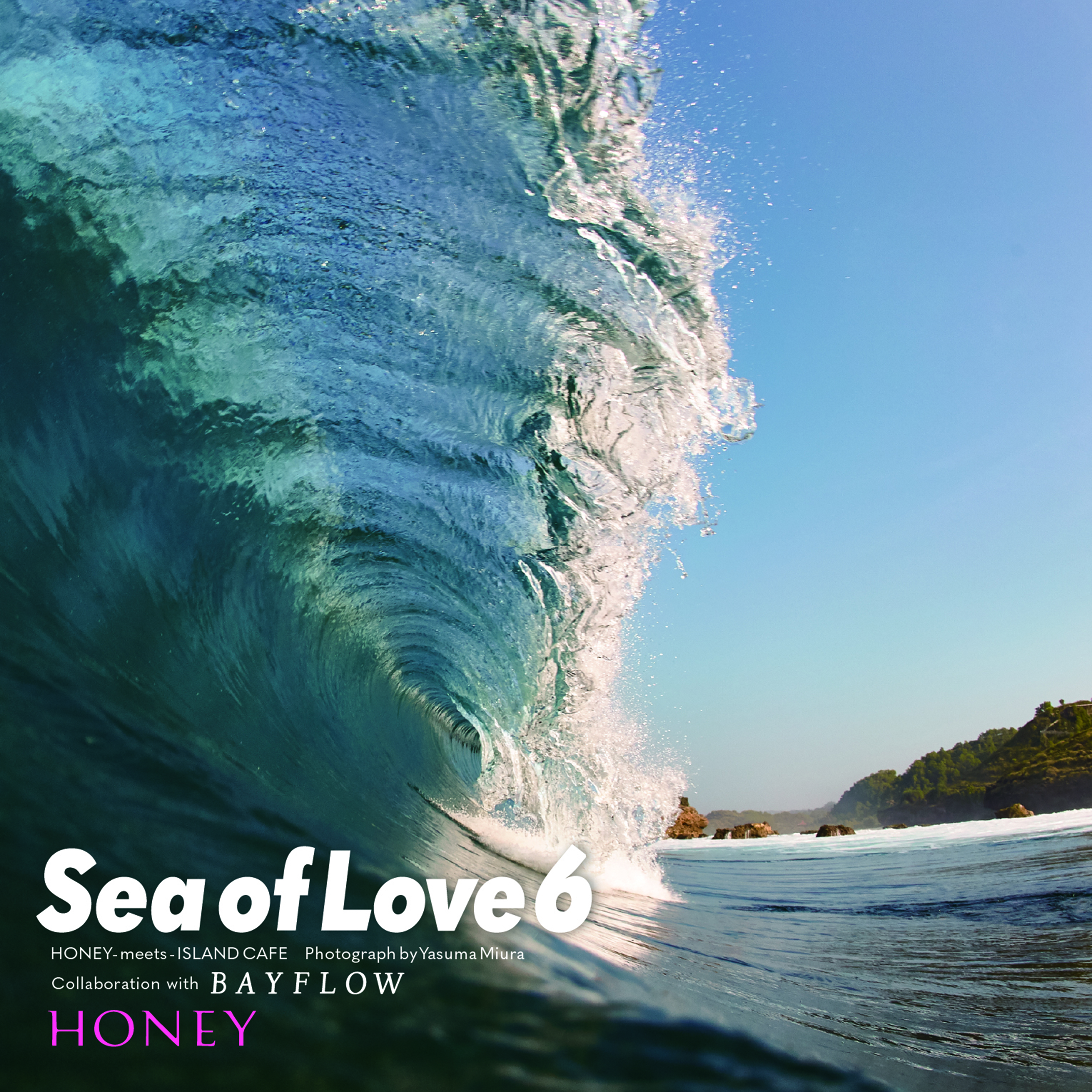 HONEY meets ISLAND CAFE -Sea of Love 6- Collaboration with BAYFLOW